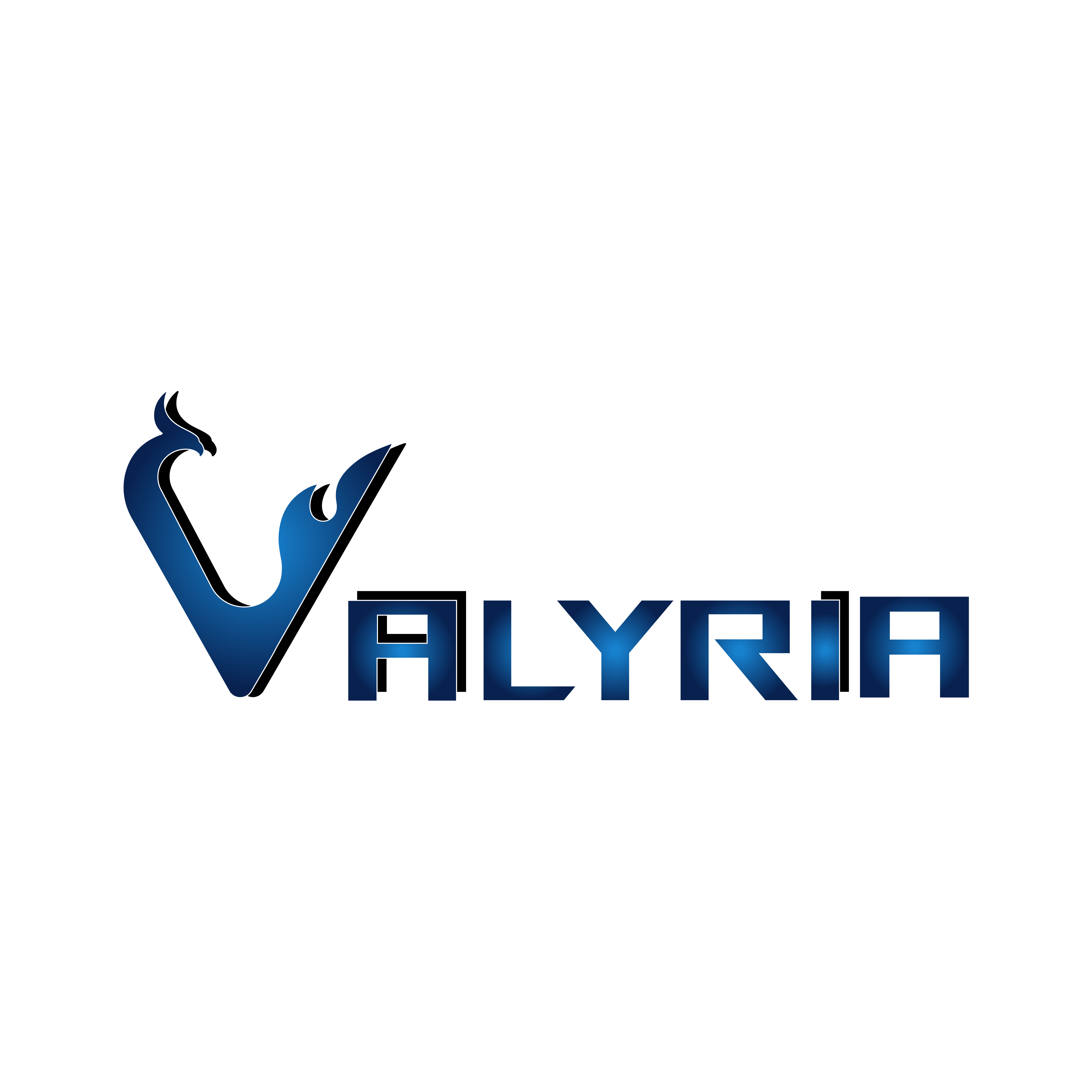 Valyria Visions Pvt Ltd